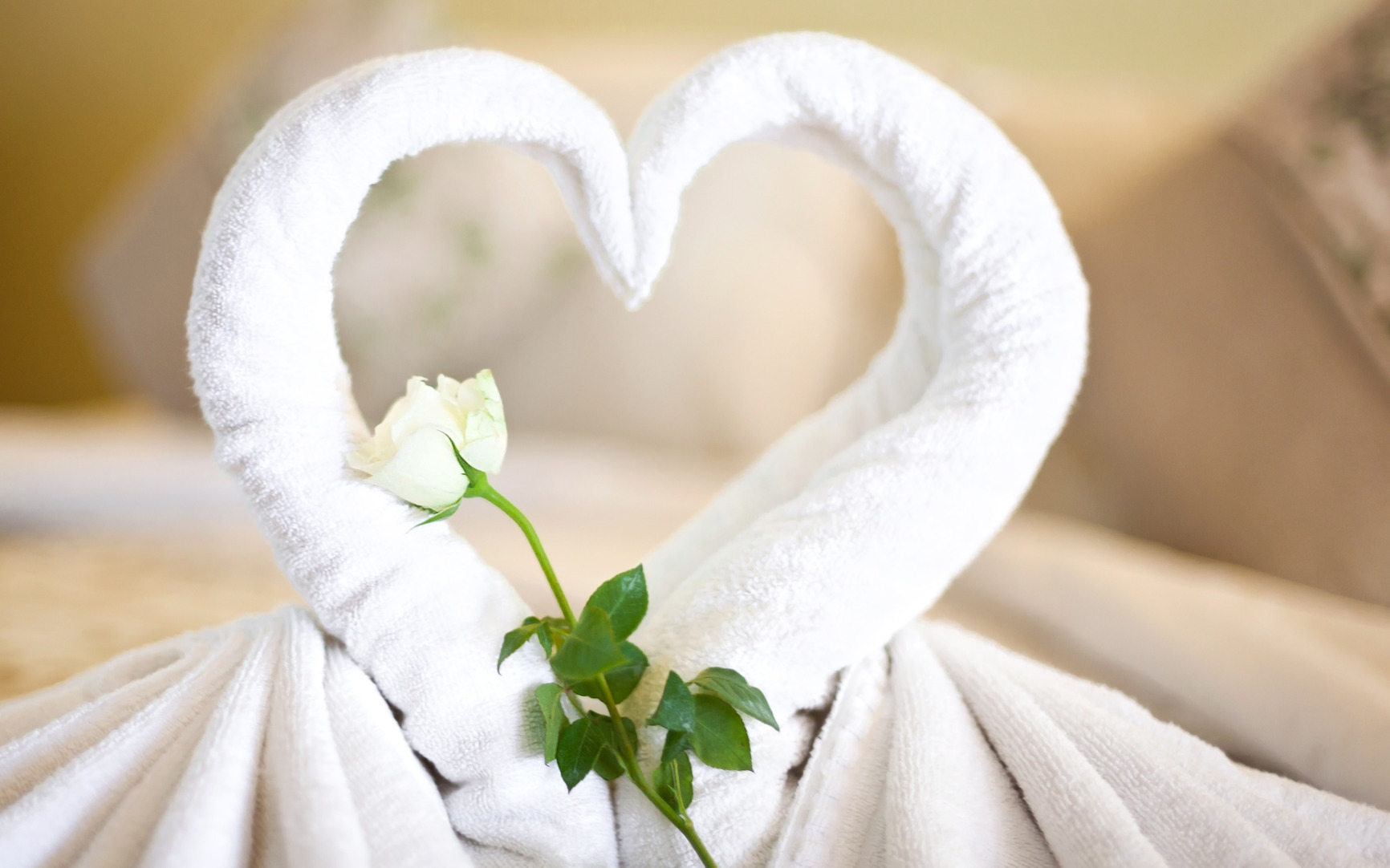 Two white towels shaped as swans on bed in hotel • Honeymoons by Holiday Hamster