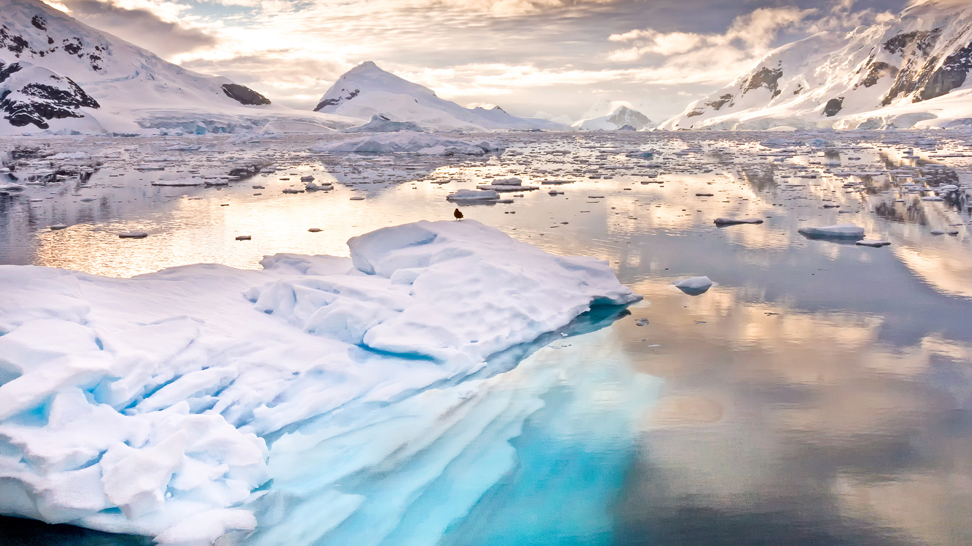 Destinations: Icebergs at Dusk in Antarctica