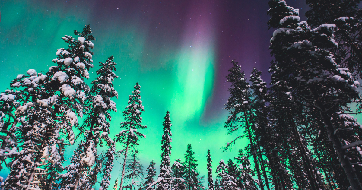 Beautiful picture of massive multicolored green vibrant Aurora Borealis, Aurora Polaris, also know as Northern Lights in the night sky over winter Lapland landscape