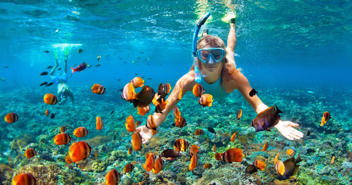 Couple-in-snorkeling-masks-dive-deep-underwater-with-tropical-fishes-in-coral-reef-sea-pool