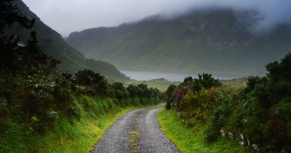 Foggy pathway in Ireland