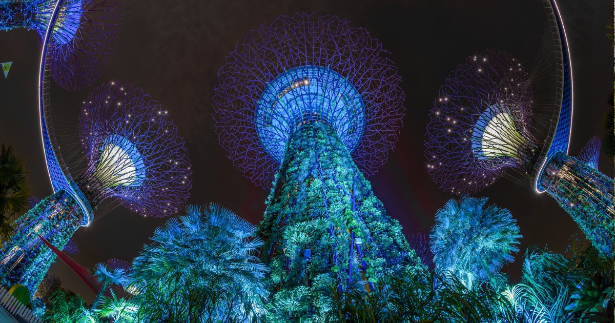 Gardens by the bay lit up at night. The OCBC Skyway and Supertree Grove turn electric blue against the dark sky.