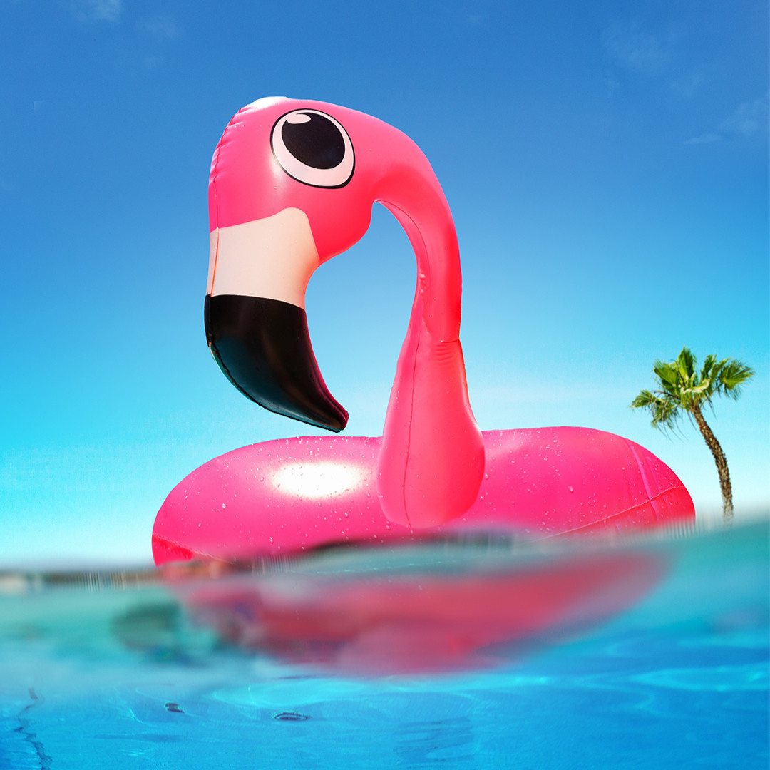 Pink Flamingo Inflatable Floating in a Swimming Pool with a Palm Tree in the Background