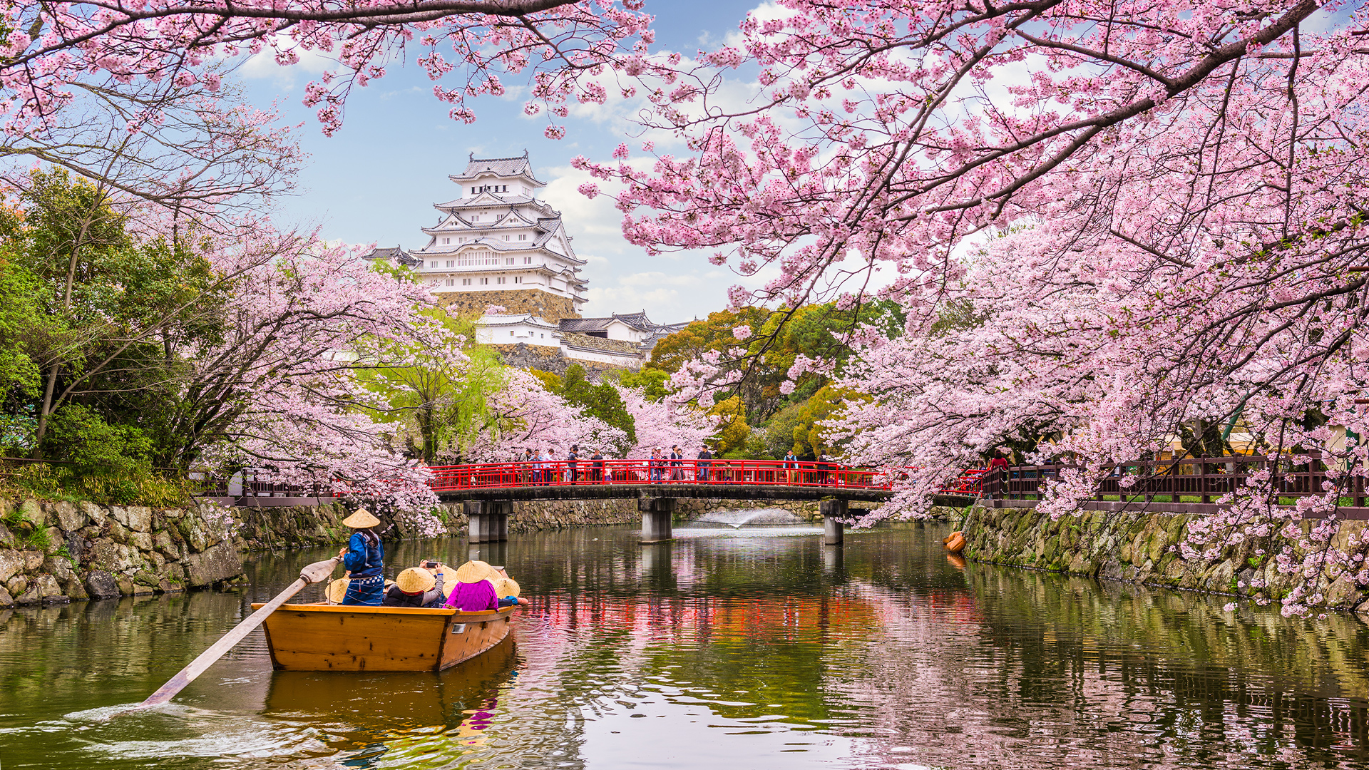 Destinations: Cherry Blossom at Himeji Castle in Spring, Himeji, Japan, Asia