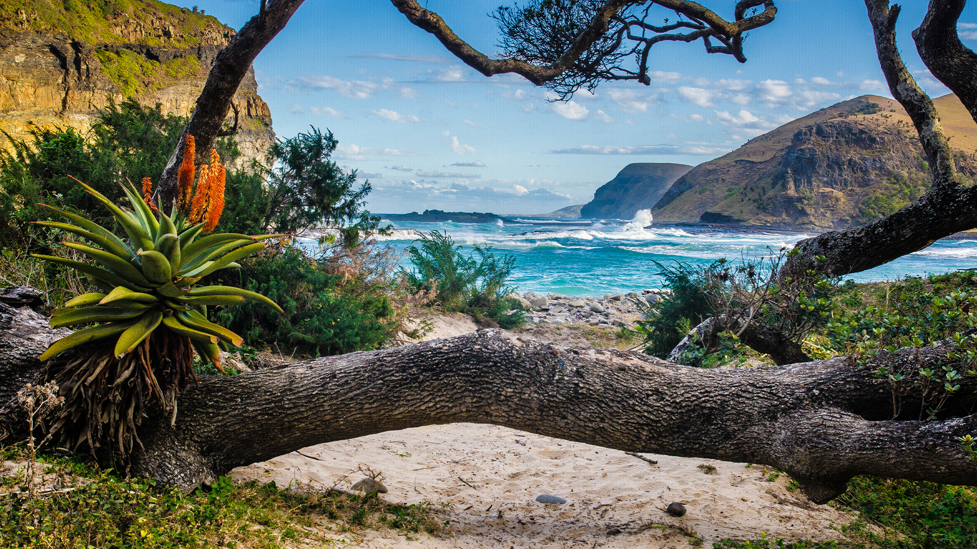 Destinations: Nature Around The Hole in the Wall at Coffee Bay, South Africa, Africa