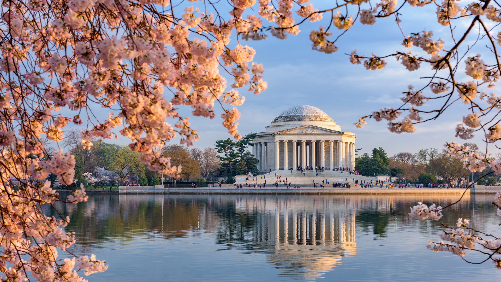 Destinations: The Tidal Basin and Jefferson Memorial in Spring, Washington DC, USA, North America